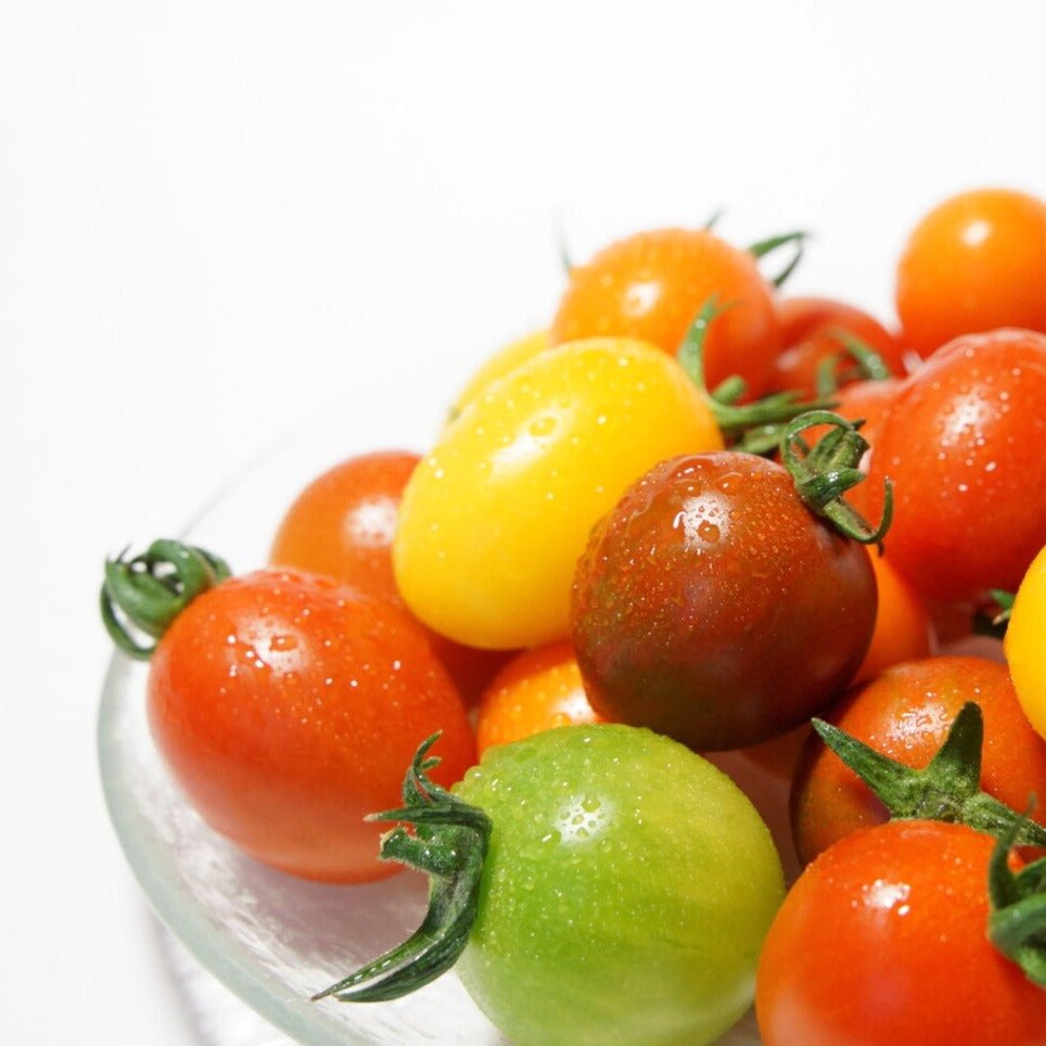 【1kg箱セット】ひばりトマト・ミニトマトのセット