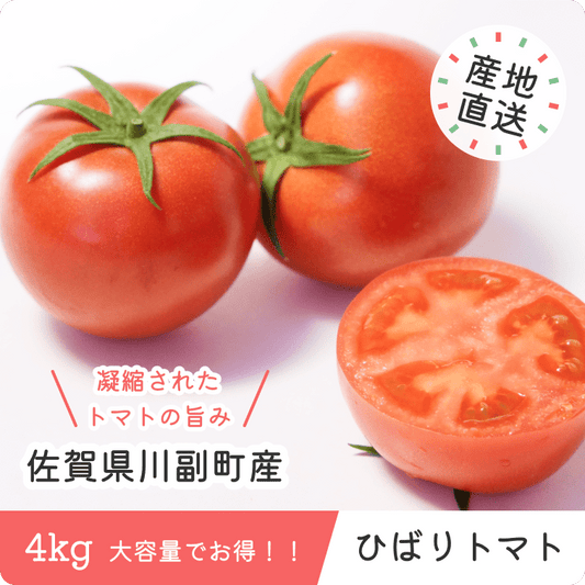 ひばりトマト 4kg