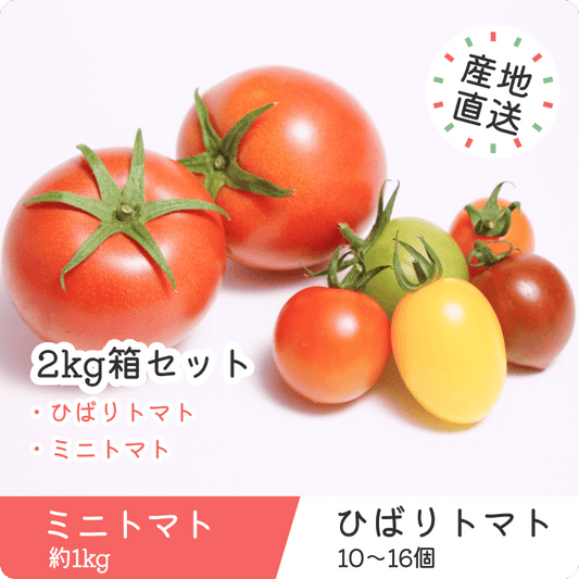 【2kg箱セット】ひばりトマト・ミニトマトのセット